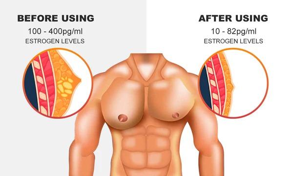 MAH FITGEAR Luhaka Gynecomastia Cream – Chest Fat Burner | Natural Formula for Men’s Chest Sculpting & Fat Reduction